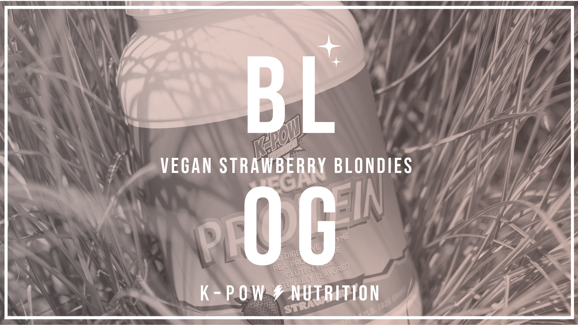 Vegan Protein Strawberry Blondies